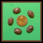 Laurentian Rose Granite Cabochons, 10 x 14mm, 3 for $5