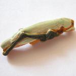 PCB - Bug: Grasshopper, 5 for $7.50