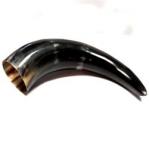 Water Buffalo Horn