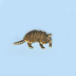 Pewter Beads: Armadillo Antiqued Brass (AB), 10 beads