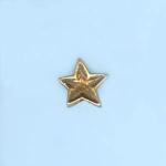 Pewter Beads: Star Bead Antiqued Brass (AB), 20 beads