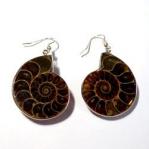 Earrings: Ammonites: Fossils, Silver Plated, 3 pairs for $27