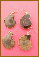 Earrings: Ammonites: Fossils, Gold Plated, 3 pairs for $27