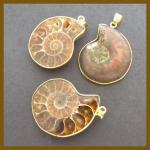 Pendants: Ammonites
