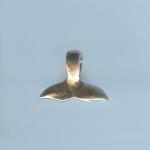 Pewter Charms: Whale Tail, 10 pieces