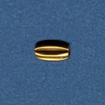 Brass: Oval Grooved Lengthwise 4 x 6mm, 100 beads