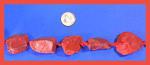 Chunky Red Jasper 22mm By the Strand 15 - 16 inches