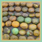Chinese Turquoise Oval Large Strands 15 - 16 inches