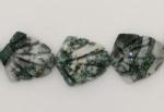 Shells: 18 x 20mm Carved Tree Agate Strands 15 - 16 inch strands