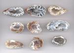 Mineral Specimens: Agate Geodes, Small, 