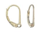 Goldfilled Earwires: Leverbacks, 10 pieces