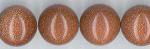Rounds: Goldstone (Glass) 14mm Strands 15 - 16 inches