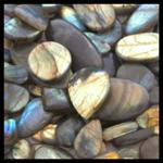 Labradorite Cabochons, 5 of them