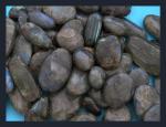 Mineral Specimens: Labradorite Palmstones 1/ 1/4  to 2 1/2 inches My Choice, 3 for $9