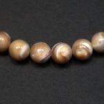 Rounds: Mother of Pearl Natural 10mm Strands 15 - 16 inches
