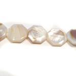 Mother of Pearl Octogons 20mm Strands 15 - 16 inches