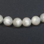 Rounds: Mother of Pearl White 10mm Strands 15 - 16 inches