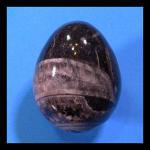 Orthoceras Egg