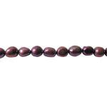 Freshwater Pearls: p486 Violet-Red 6 x 7mm by the Strand 15 - 16 inches, 3 for $12