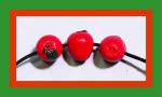 PCB - Food: Apple Half, 5 for $7.50