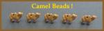 PCB - Camel, 5 for $7.50