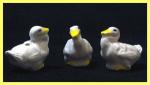 PCB - Bird: Goose, 5 for $7.50