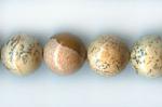 Rounds: Picture Jasper 10mm Strands 15 - 16 inches