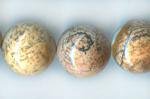 Rounds: Picture Jasper 14mm Strands 15 - 16 inches