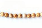 Rounds: Picture Jasper  4mm Strands 15 - 16 inches