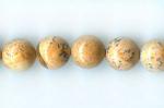 Rounds: Picture Jasper  8mm Strands 15 - 16 inches