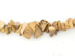 Chips: Picture Jasper 32 inches, 3 for $6.50
