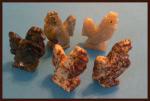 Soapstone Animal Carving: Small Rooster - sold as 10 pieces