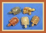 Soapstone Animal Carving: Small Turtle - sold as 10 pieces