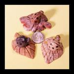 Soapstone Animal Carving: Small Turtle (?) Spotted, on a Leaf - sold as 10 pieces
