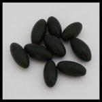Mineral Specimens: Shiva Lingams Black about 1 1/4 to 1 1/2 inches, 10 pieces