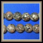 Rounds: Sea Lily Fossil Jasper 12mm Strands 15 - 16 inches