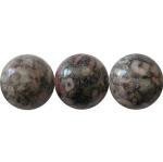 Rounds: Sea Lily Fossil Jasper 14mm  Strands 15 - 16 inches