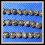 Rounds: Sea Lily Fossil Jasper 6mm Strands 15 - 16 inches