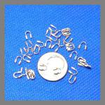 Sterling Silver Wire Guards: .031 (Cable Thimble), The Medium One, 100 pieces