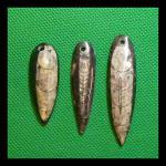 Mineral Specimens: Orthoceras Fossil, Silurian Period Specimen, drilled, 3 for $5