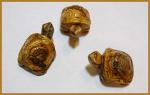 Stone Figurine Turtle: Picture Jasper, 3 for $30