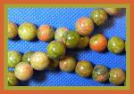 Rounds: Unakite 10mm by the Strand 15 - 16 inches